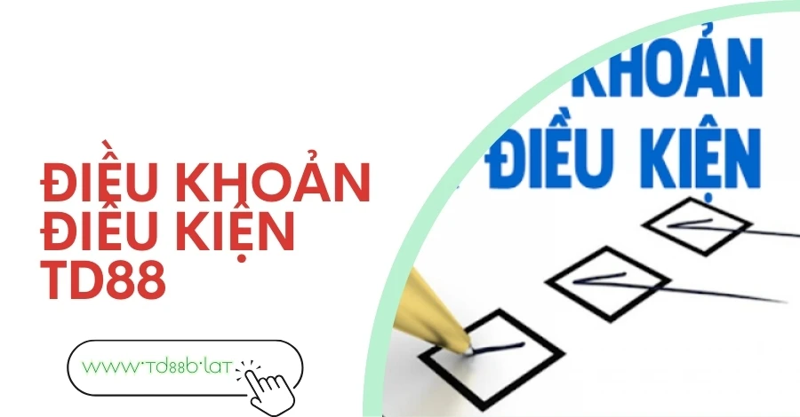 điều khoản điều kiện